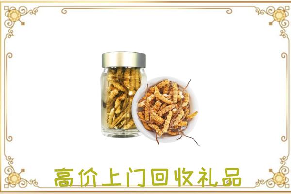 吉安周边回收虫草